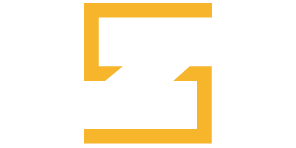 zsynx.com